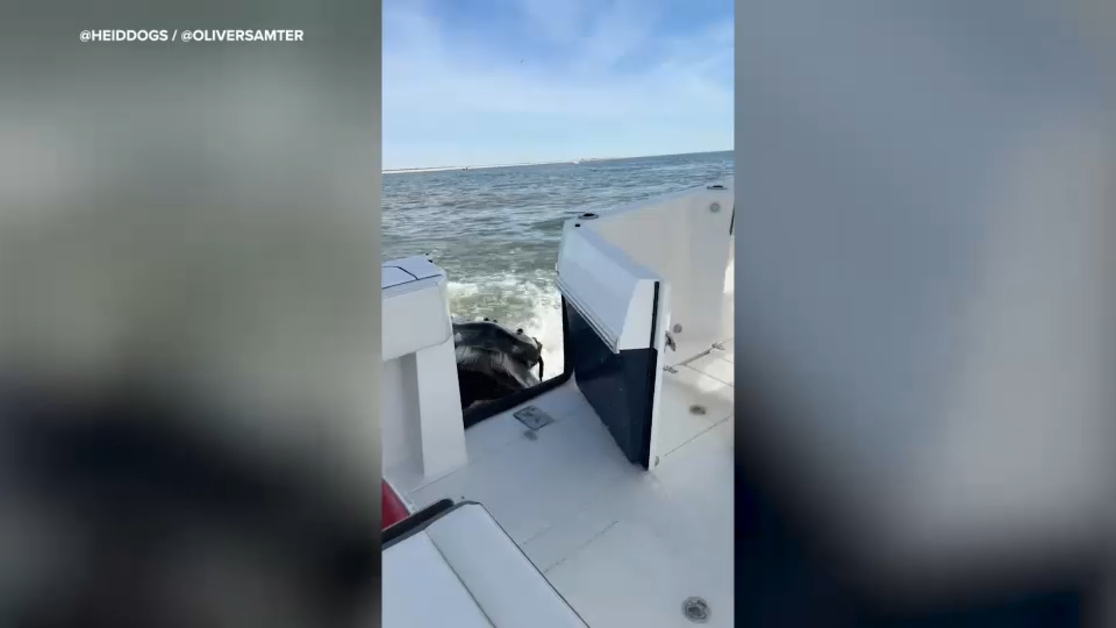 abc7ny.com