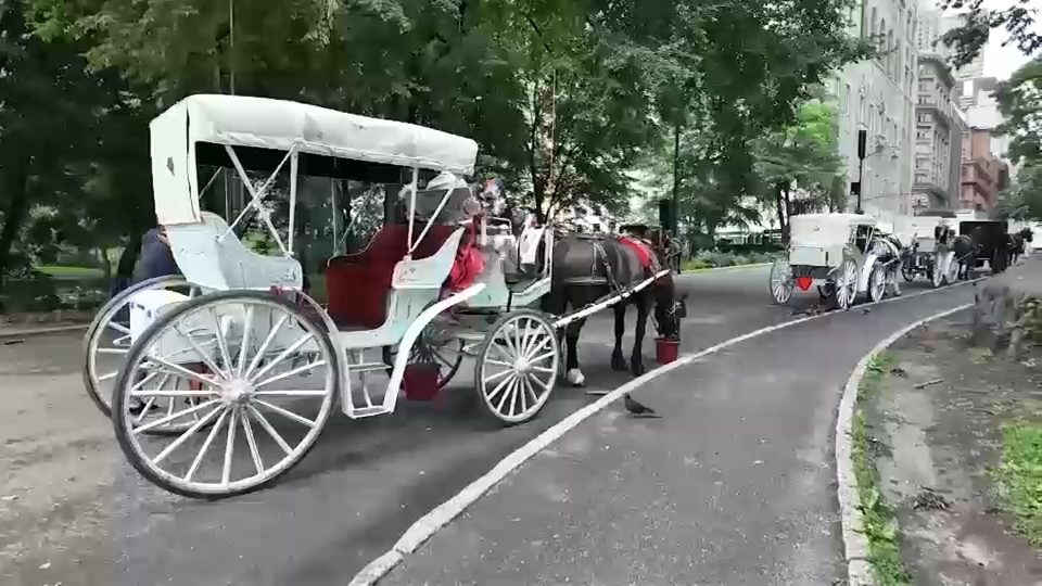 Deal reached to end horse carriage industry, New York City official says