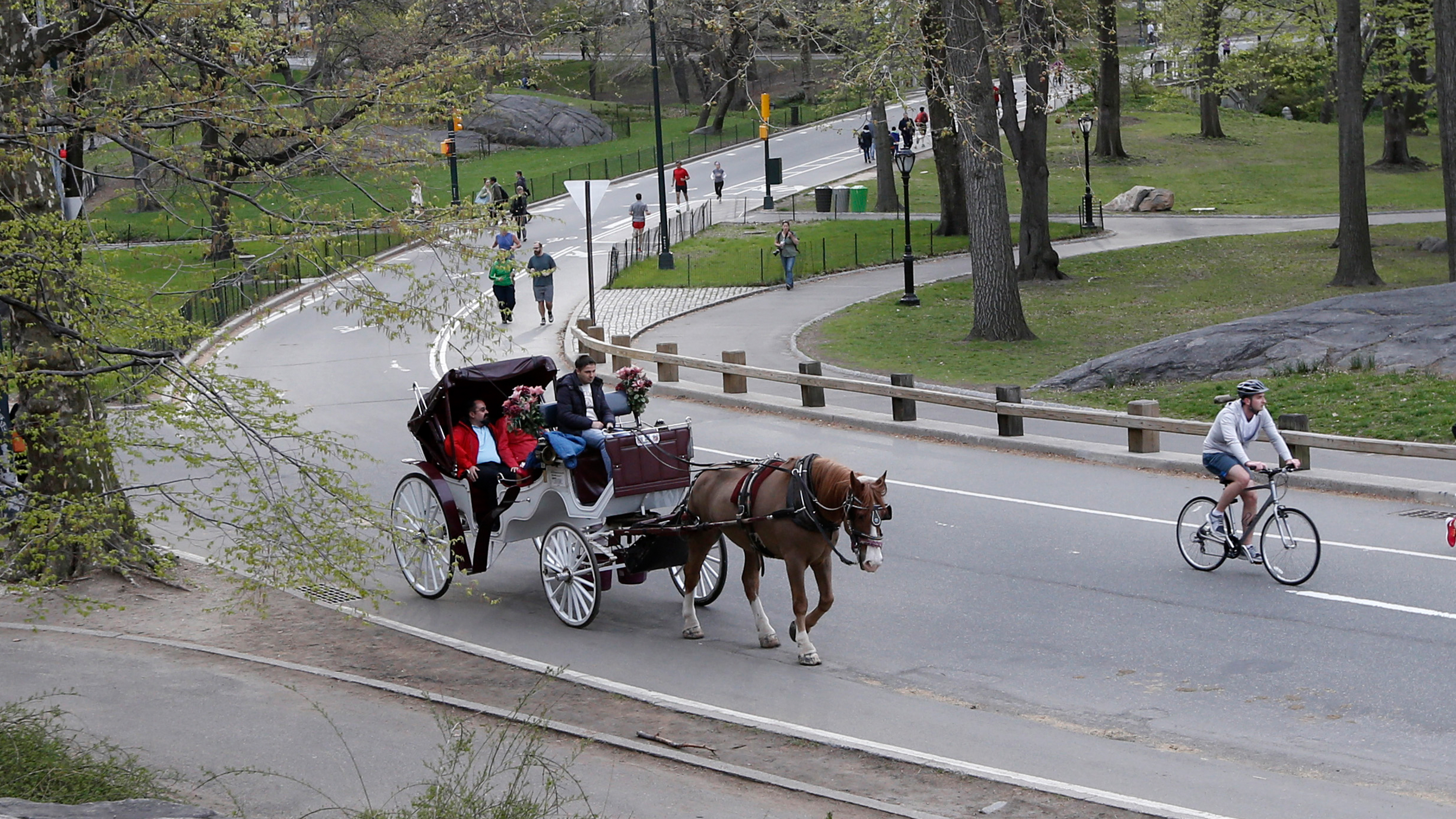 A horse-drawn carriage rides through Central Park, Monday, April 28, 2014, in New York.