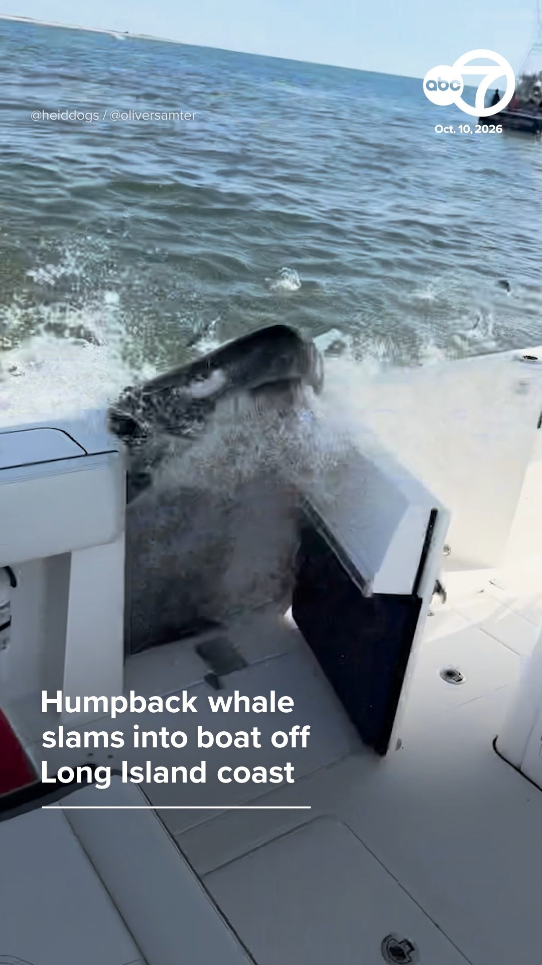 Humpback whale slams into boat off Long Island coast