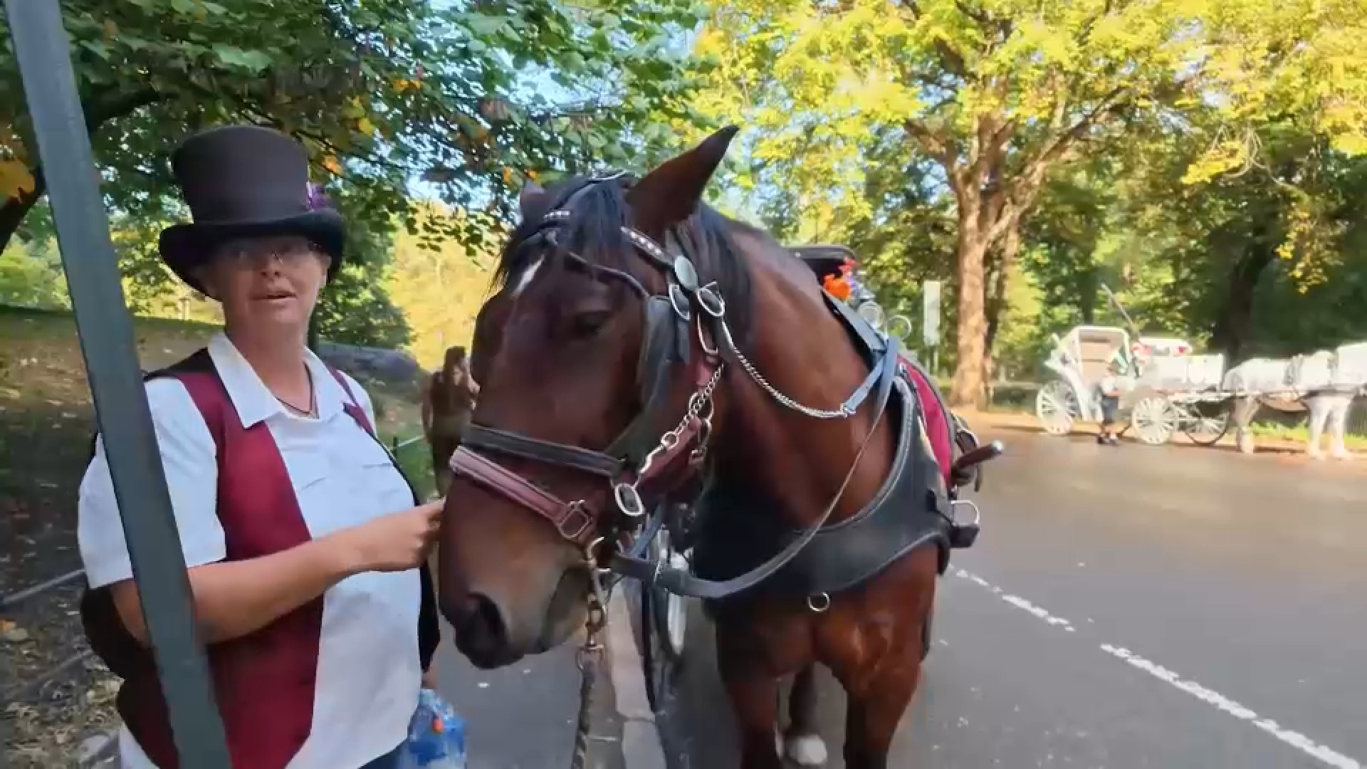 Horse carriage drivers fear future as New York City ban gains momentum