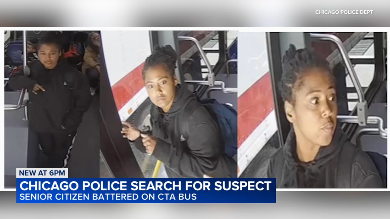 Chicago police are searching for a woman accused of hitting a senior citizen on a CTA bus near Michigan and Washington in the Loop on October 5.