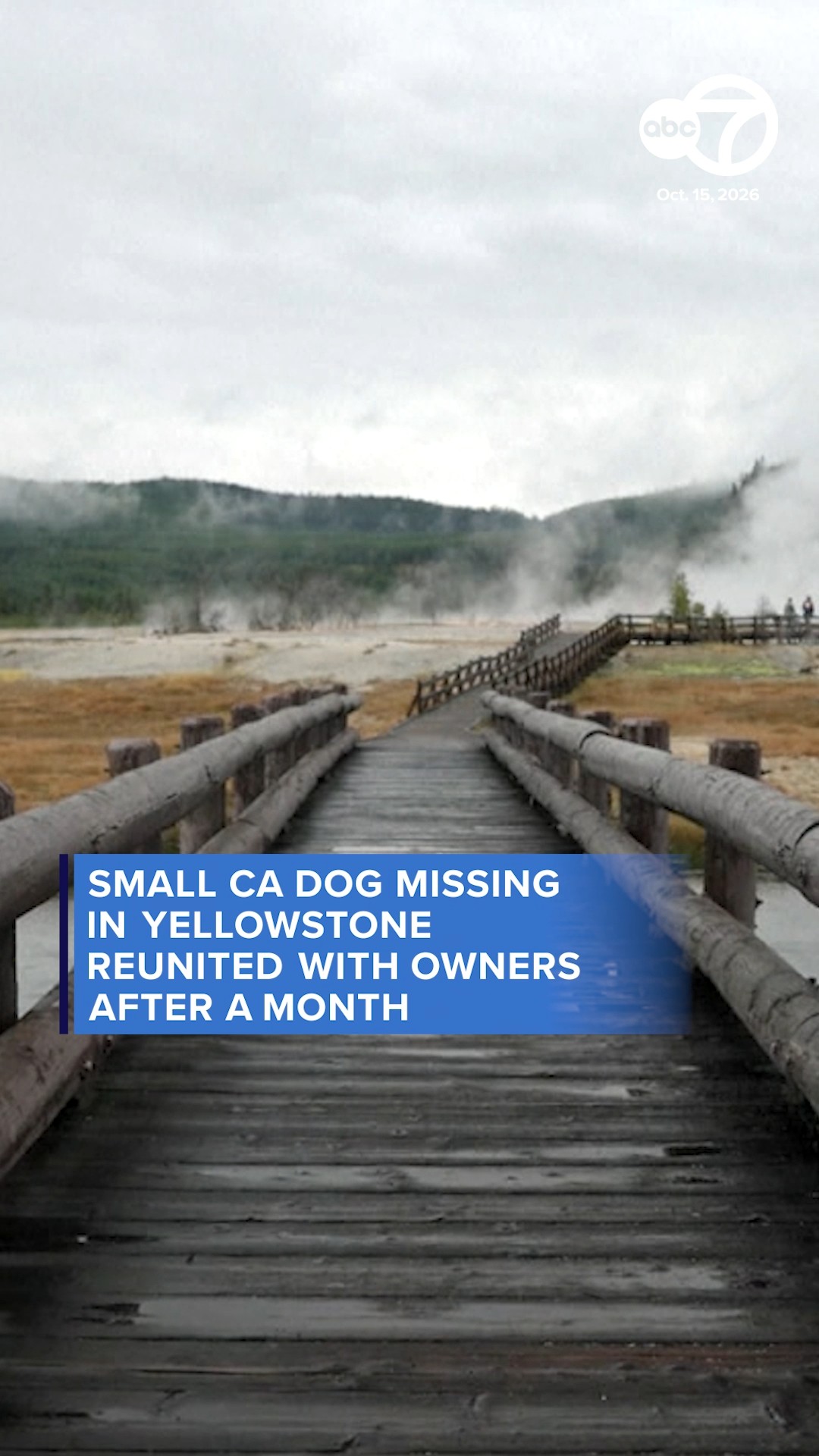 Small CA dog missing in Yellowstone reunited with owners after a month