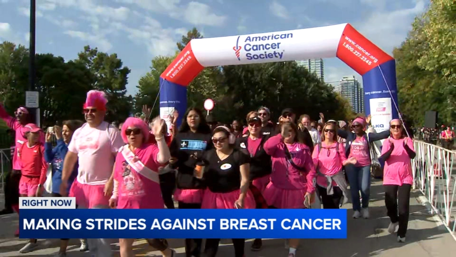 Thousands expected to participate in Making Strides Against Breast Cancer Walk at Soldier Field
      