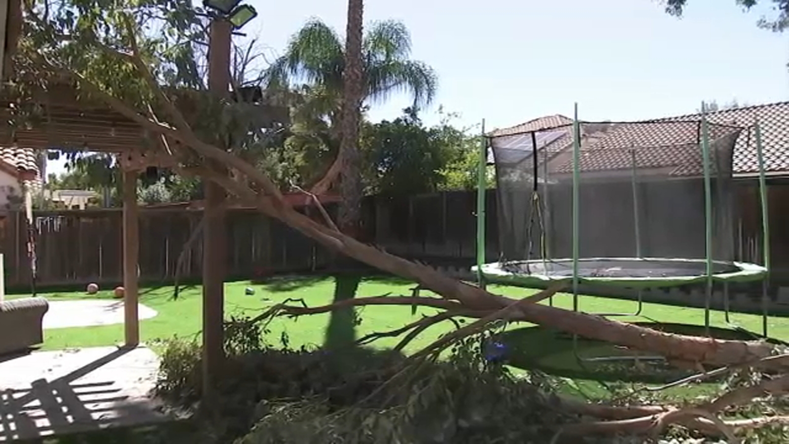 San Jacinto family warns of tree dangers after wind-blown branch critically injures adult son San Jacinto family warns of tree dangers after wind-blown branch critically injures adult son