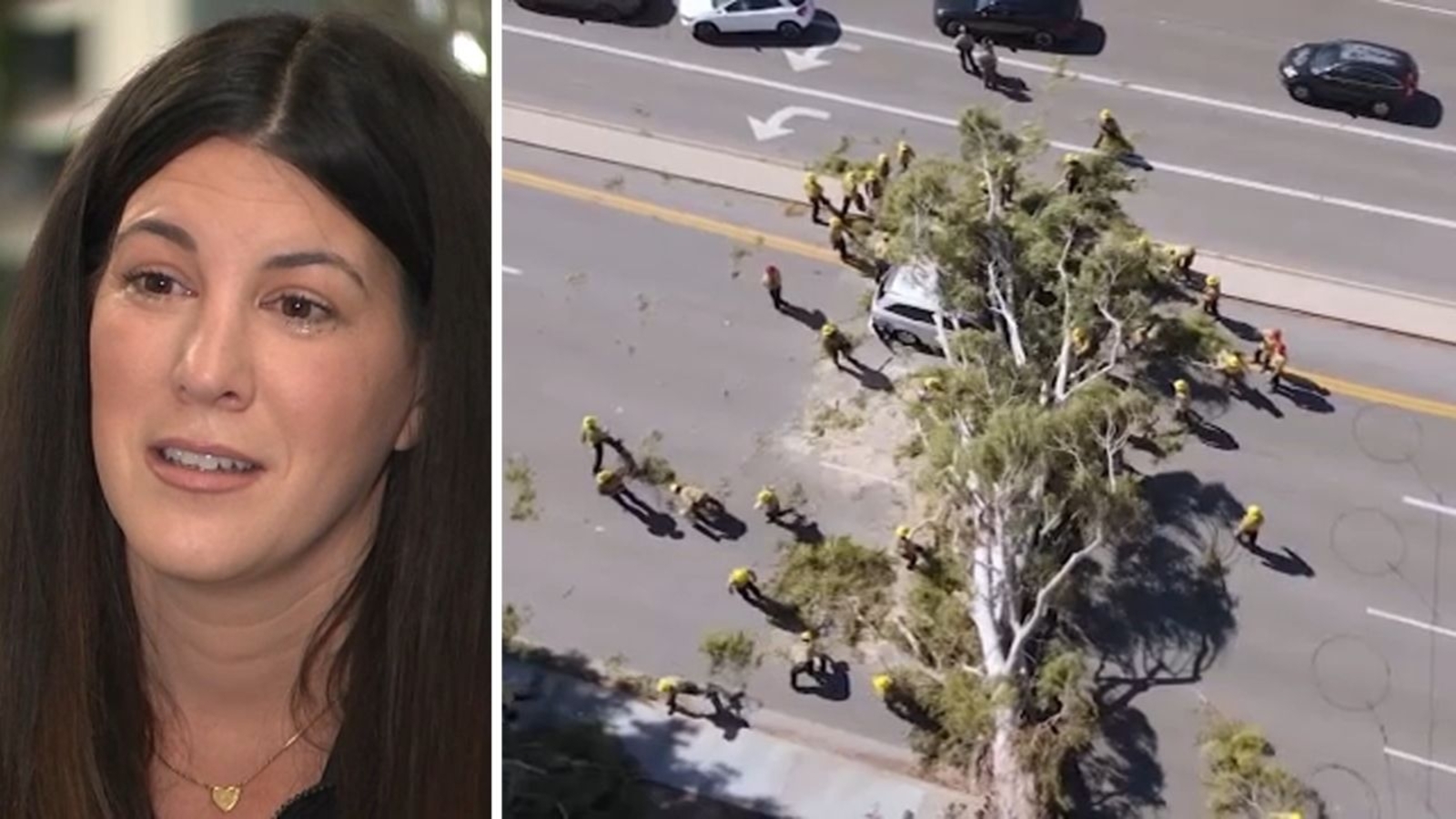 Mom of 4 survives after massive tree topples on minivan in Santa Clarita amid strong Santa Ana winds
      