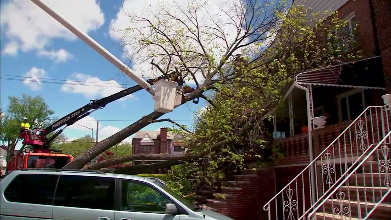 Strong wind gusts topple trees across the region in Queens, Brooklyn, NJ