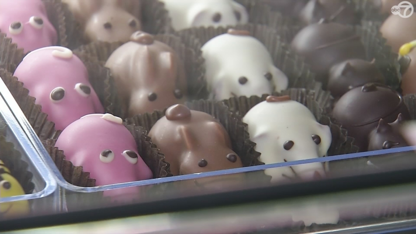 Man behind Eugene J. Candy Company in Brooklyn is a reallife Willy