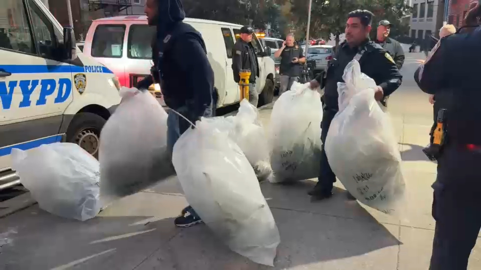 Massive marijuana grow operation uncovered in Bronx apartment during eviction