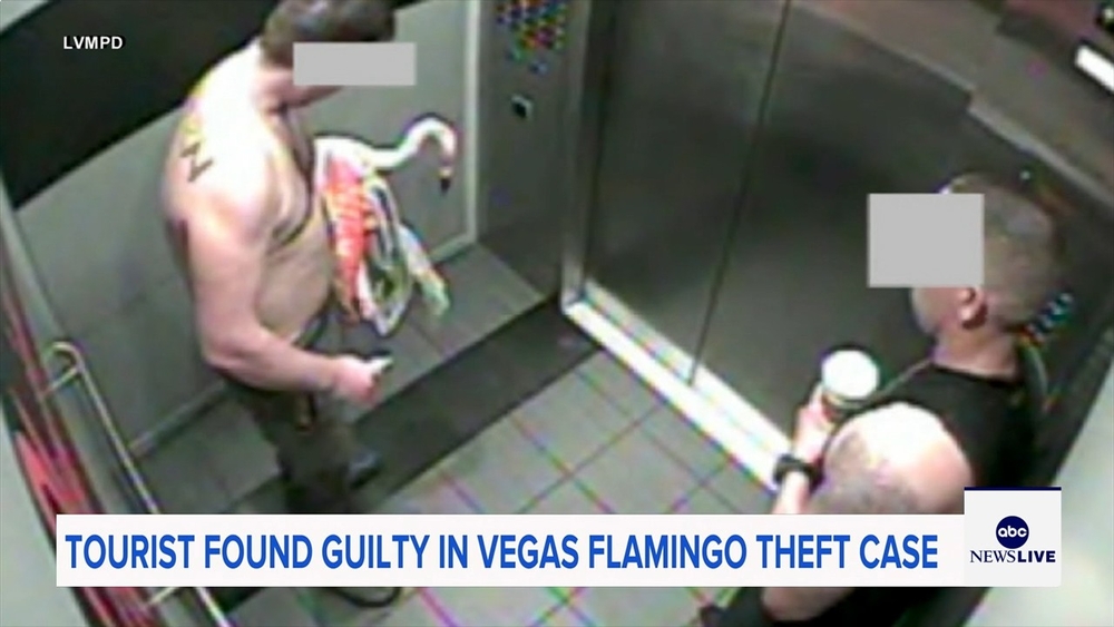 Man who snatched a flamingo from Las Vegas hotel found guilty