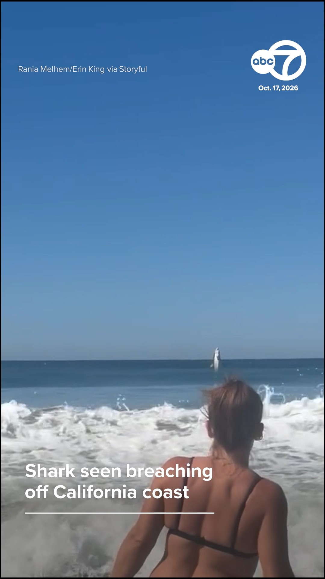 Shark seen breaching off CA coast