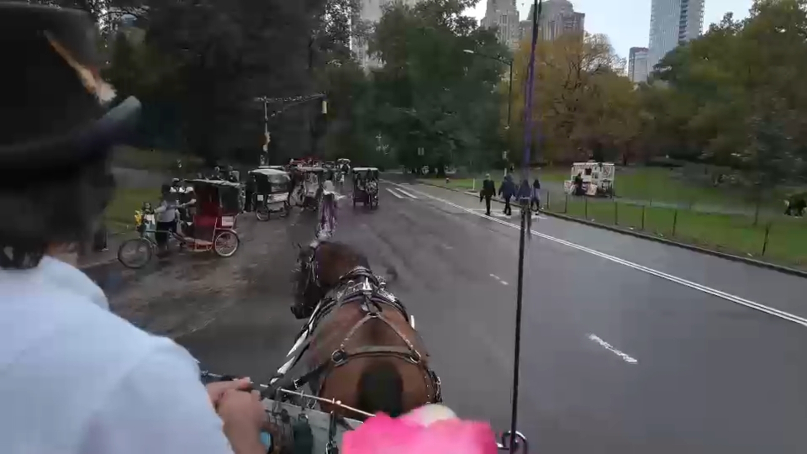 Supporters, opponents rally before horse carriage vote