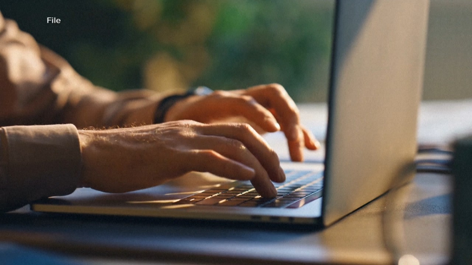 PHP vulnerability 2026: Websites shut down globally as operators address AI-detected flaw in web programming language