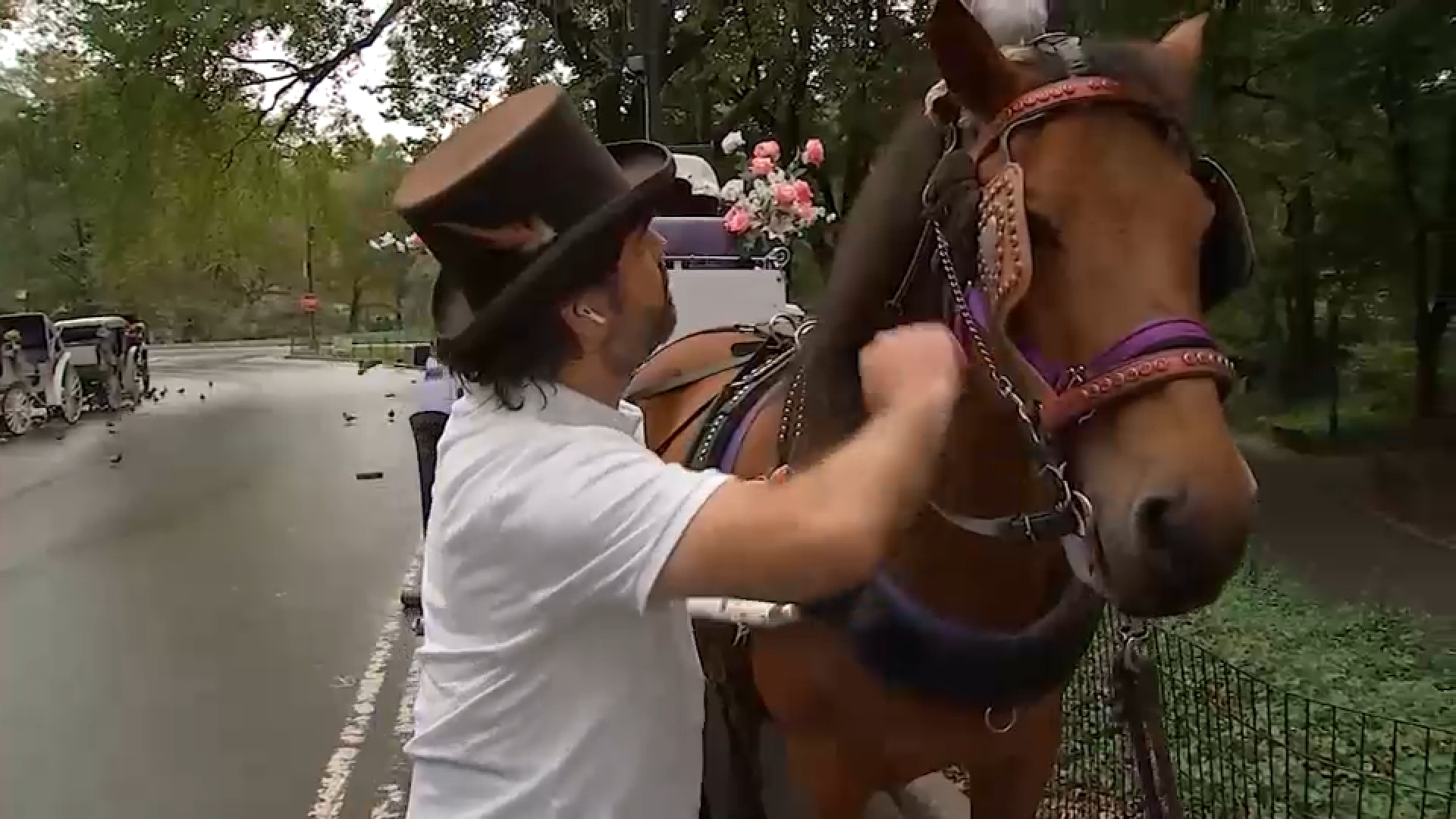 New York City Council passes law to phase out horse-drawn carriages by 2028