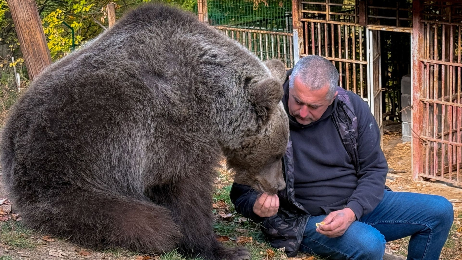A Bosnian man rescued an abandoned bear cub. Now they're inseparable