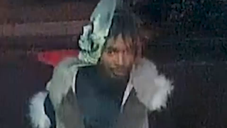 Police release image of Halloween-costume stabbing suspect