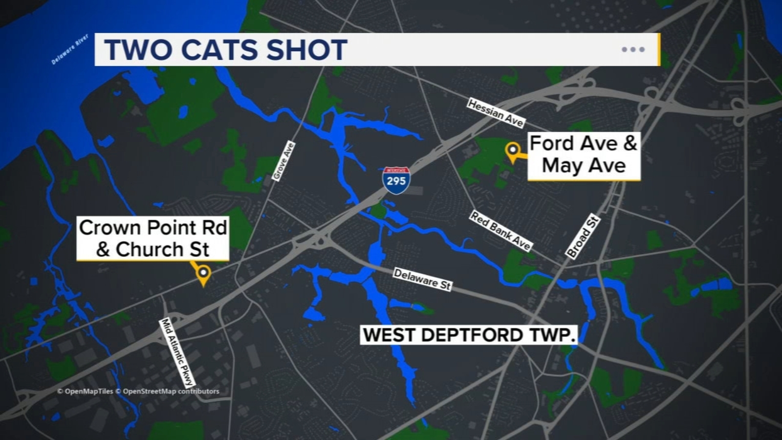 Police urge residents to bring outdoor cats inside after 2 shot in ...