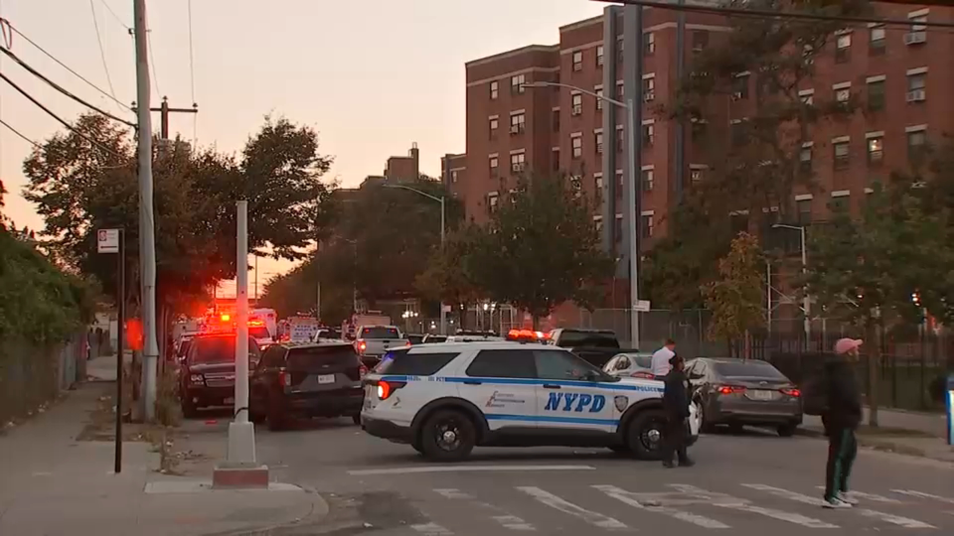 Queens man charged in killing of woman found buried in shallow grave