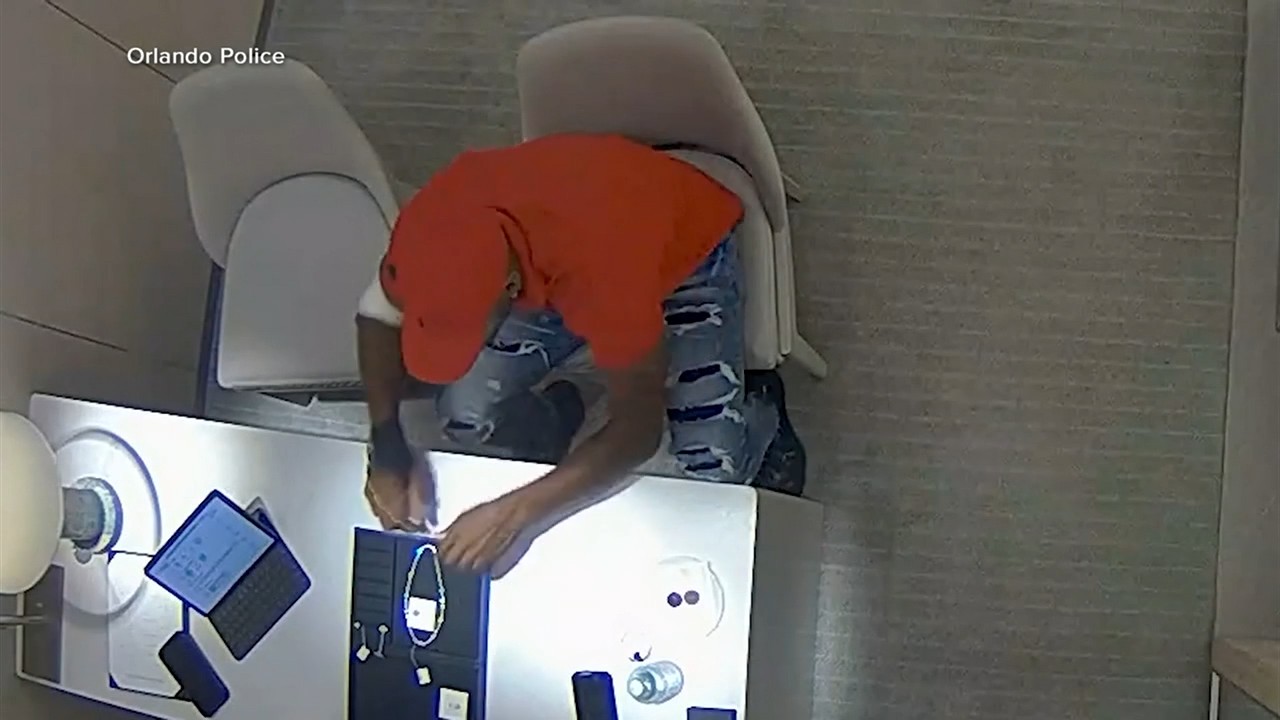 Jewelry thief who swallowed earrings from Tiffany & Co during arrest to be sentenced in December