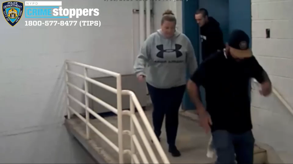 Vandals cause more than $100K in damage at College of Staten Island campus
