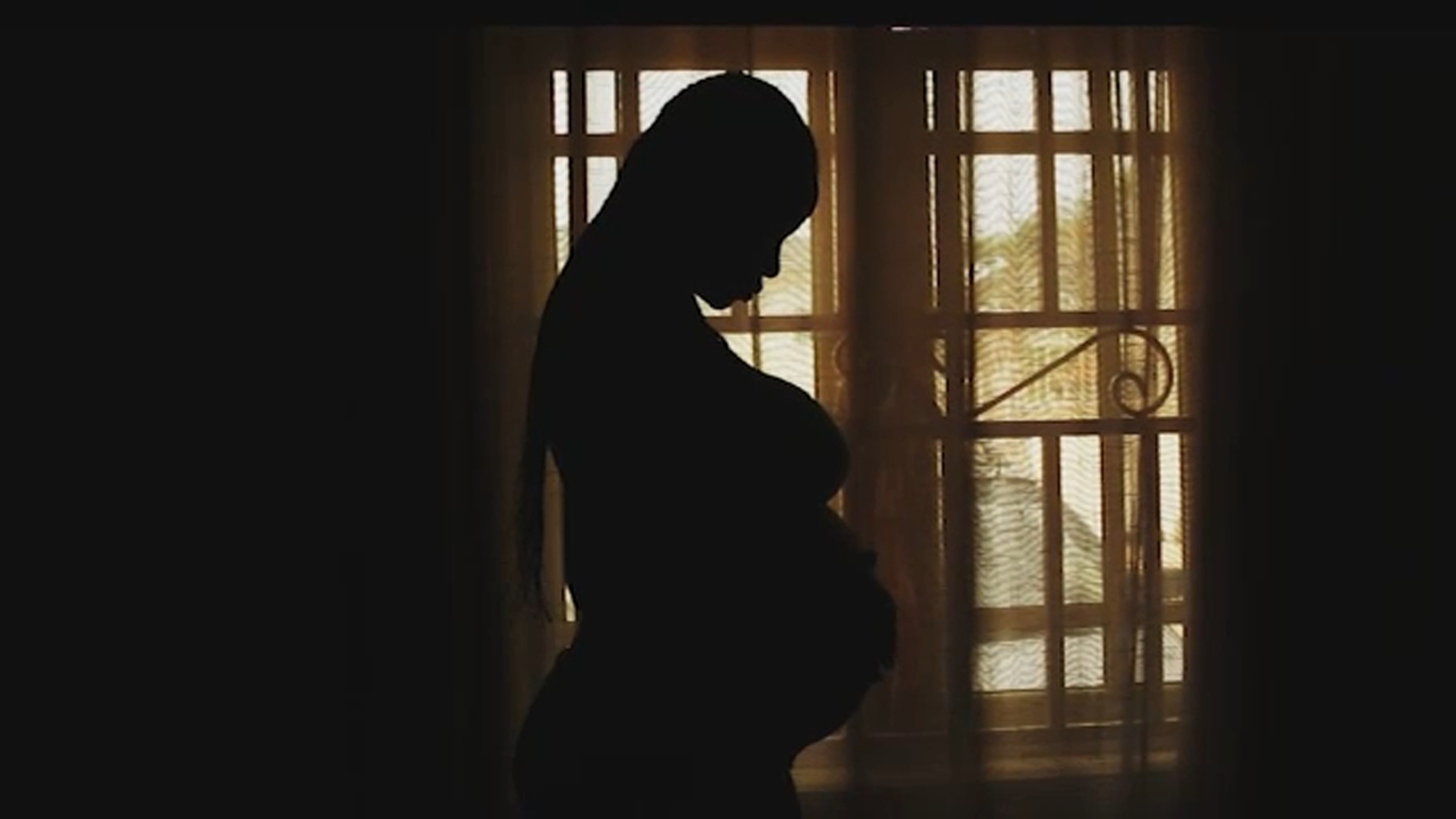 Community Baby Shower to support 250 expectant mothers in Wake County
      
