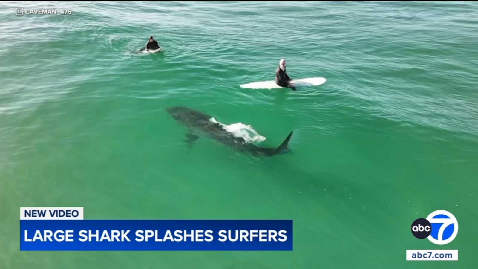Shark swims near surfers, splashes one with its tail in close encounter off California coast, video shows Shark swims near surfers, splashes one with its tail in close encounter off California coast, video shows