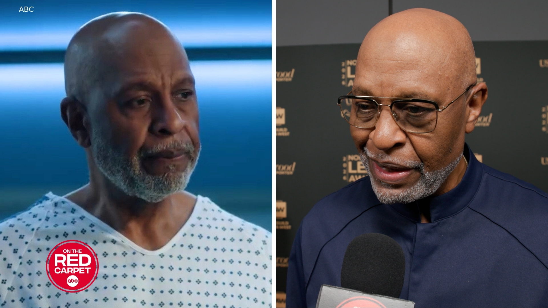 How 'Grey's Anatomy' star James Pickens Jr. inspired award-winning episodes