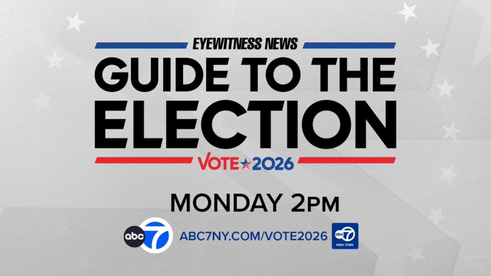 Watch 'Eyewitness News Guide to the Election' on Monday at 2 pm