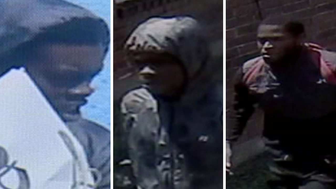 Burglars kill dog during home invasion
