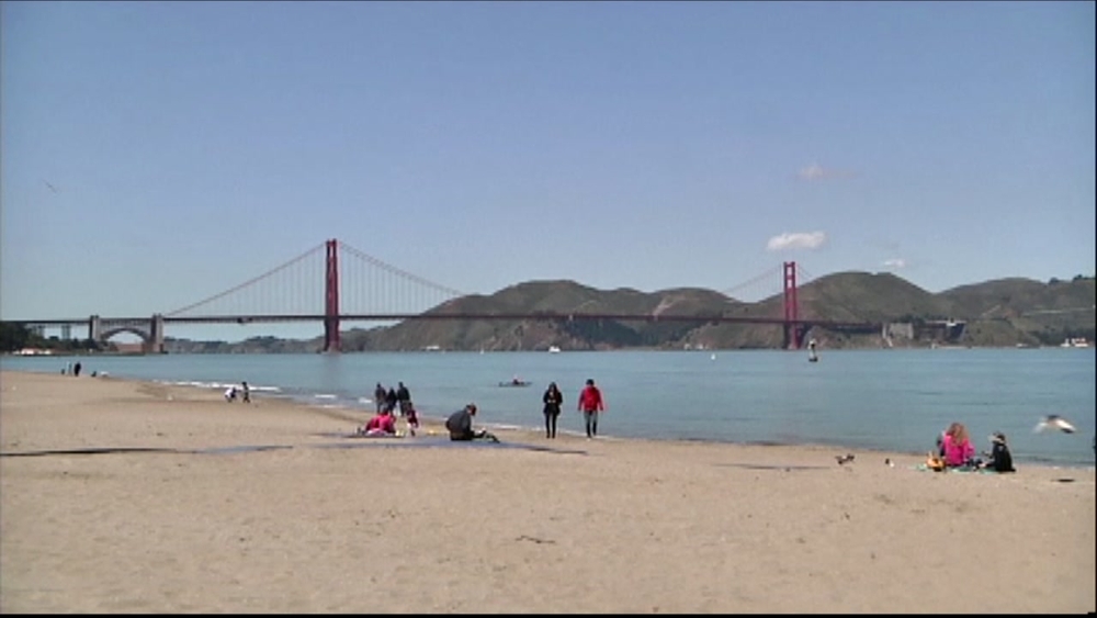 Flea control products may have environmental impacts, trace amounts of pesticides found in San Francisco Bay