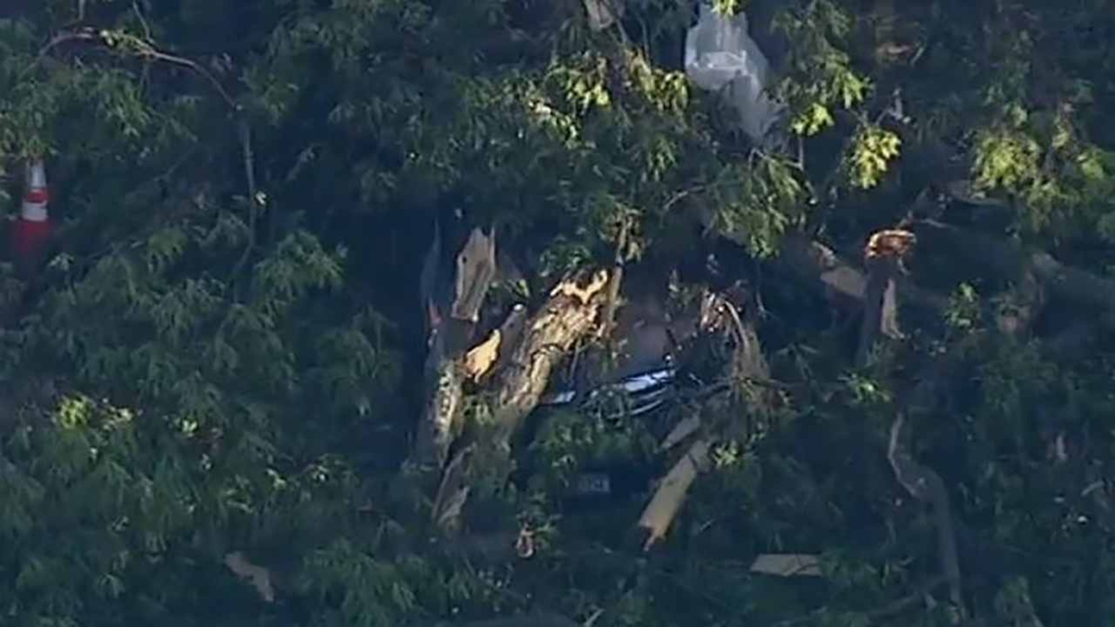 80yearold man killed when tree falls onto car in Nyack ABC7 New York