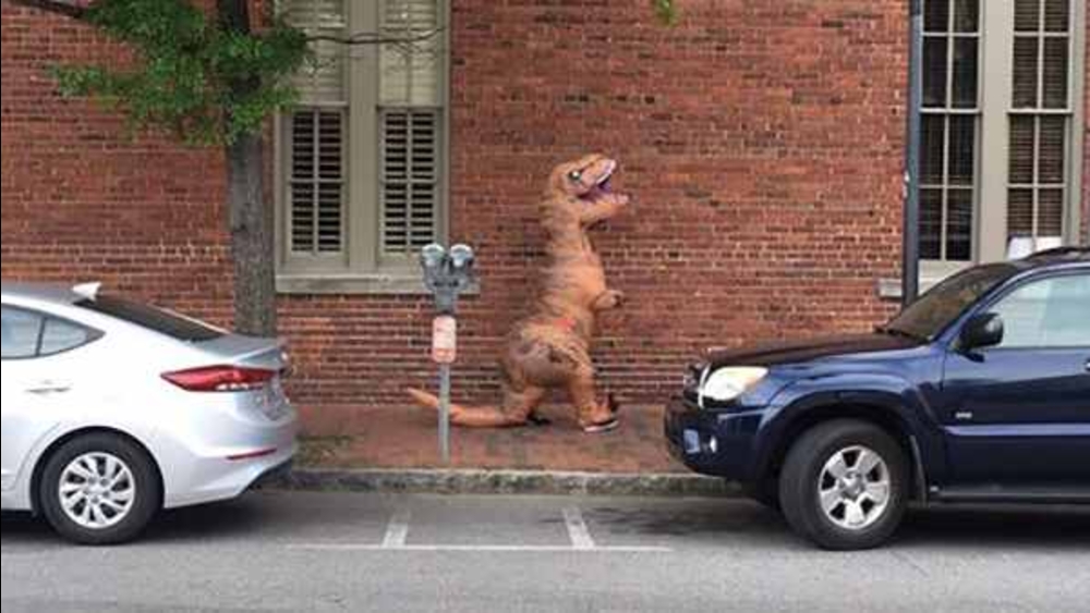 Man in dinosaur costume spooks Charleston carriage horses