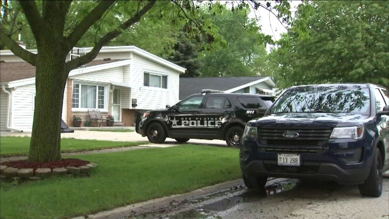 Des Plaines Murder – Des Plaines man charged with attempted murder in ...
