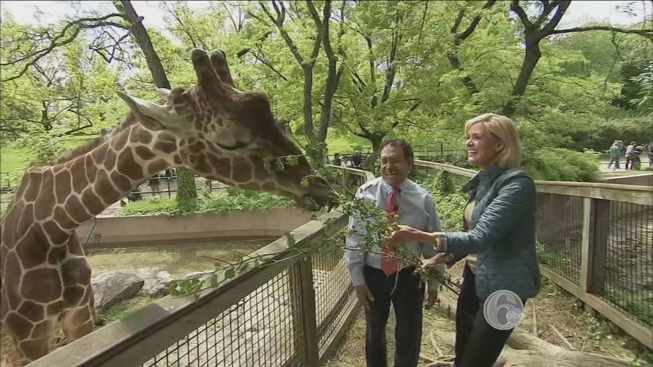 The man behind the magic at the Philadelphia Zoo - 6abc Philadelphia