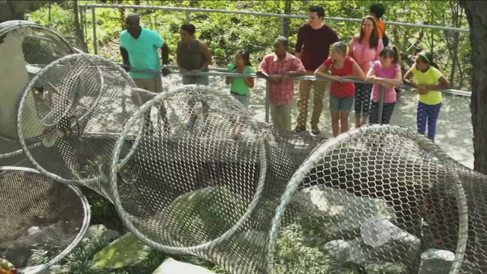 Philadelphia Zoo's Must-See Attractions - 6abc Philadelphia