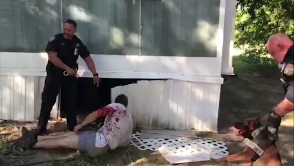 K9 attacks innocent repairman