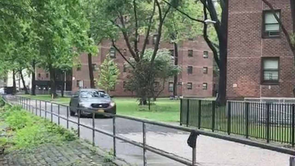Woman in Bronx shot in stomach; no arrests made