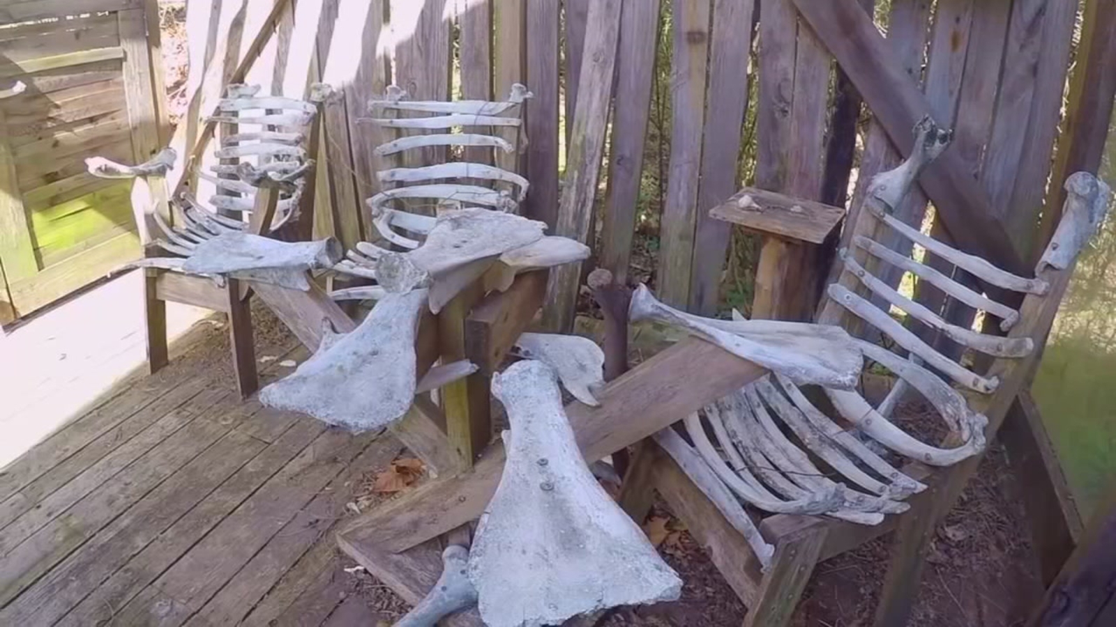 Huntsville's Bone House furnished with more than 1,000 animal bones ABC13 Houston