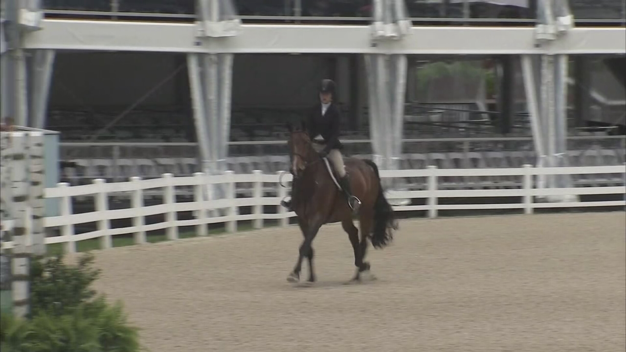 2017 Devon Horse Show