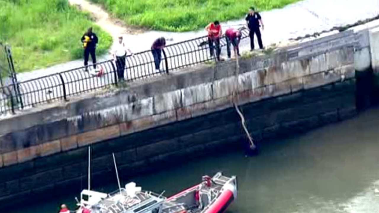 Man rescued after falling into Harlem River