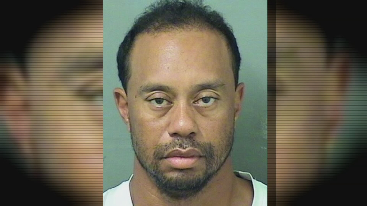 Police: Tiger Woods had 4 meds in system at time of DUI arrest