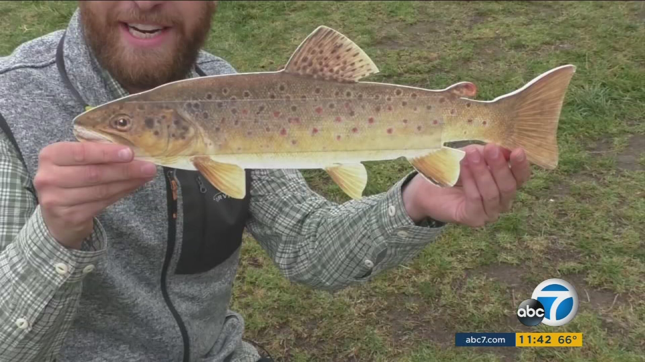 Want to learn to flyfish? You can with free classes offered by outdoor