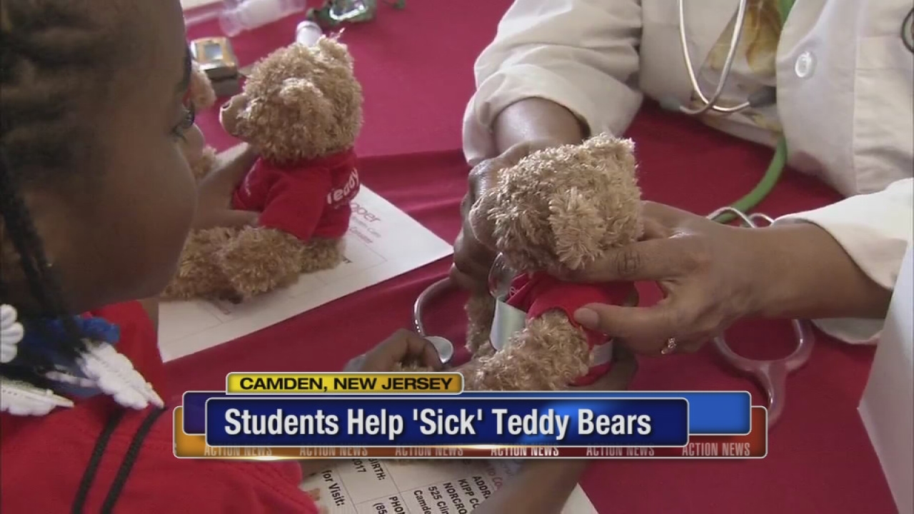 Teddy Bear Care in Camden
