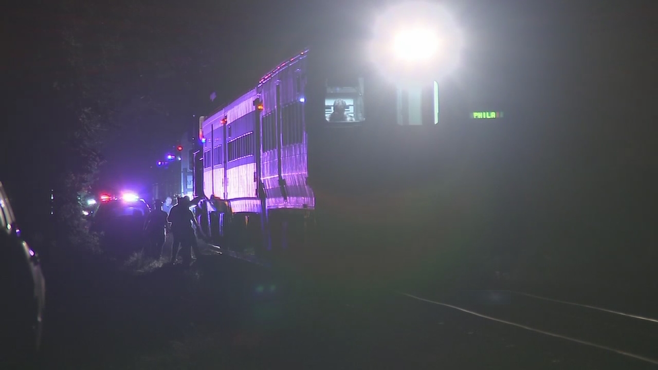 Person struck and killed