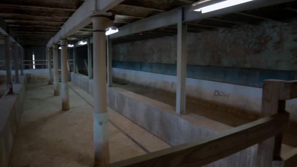 Hidden Philadelphia: Underground pools