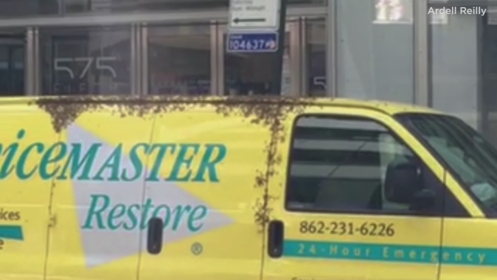 Raw: Bees swarm van in Midtown
