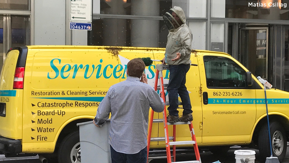 Swarm of bees found on service van in Midtown