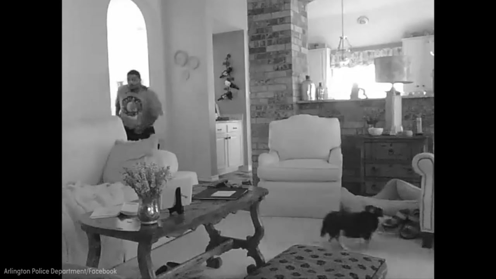 'Little pooch' saves the day, scares away would-be burglar