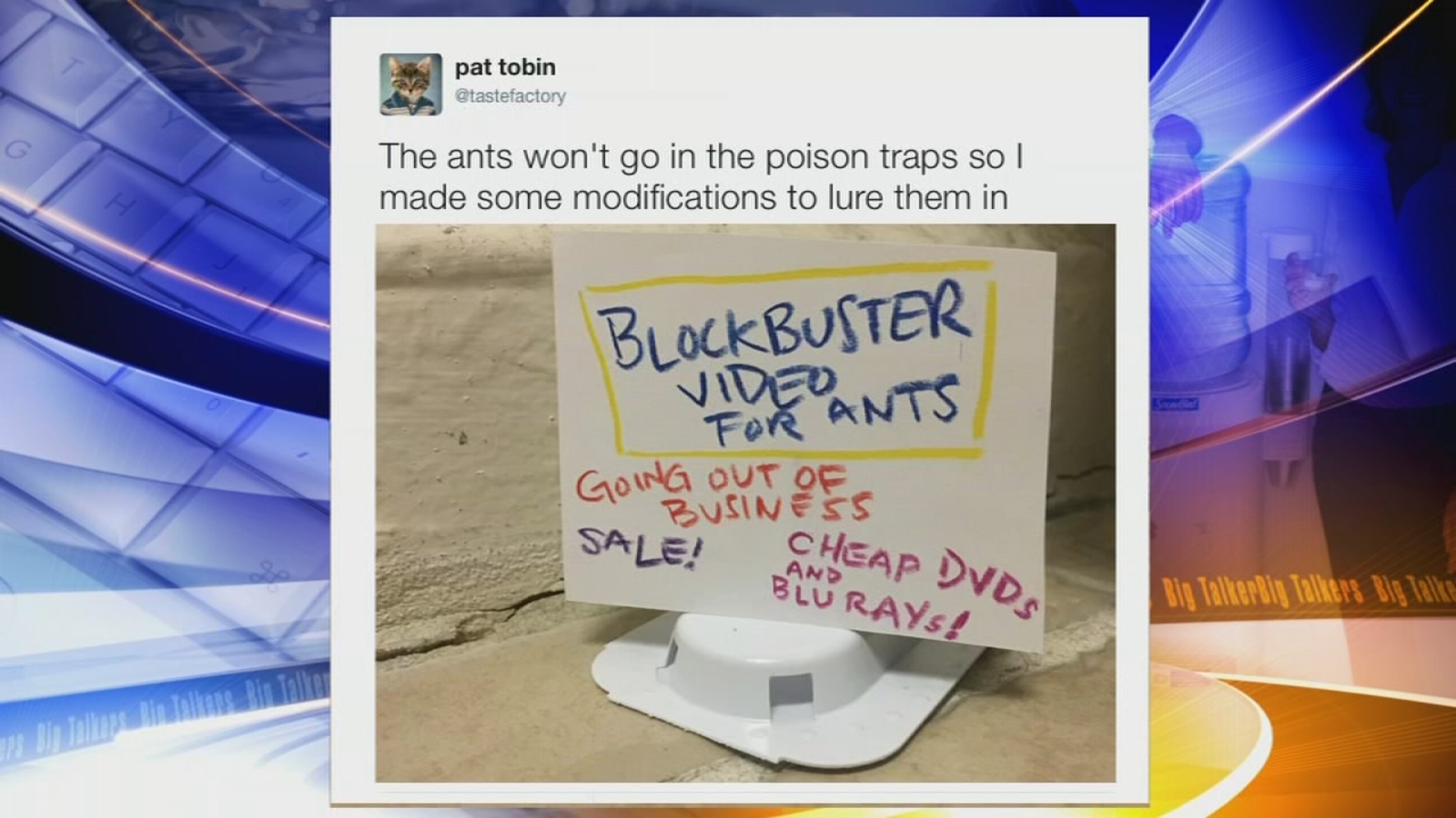Brooklyn man creates hilarious signs to lure ants into traps 6abc