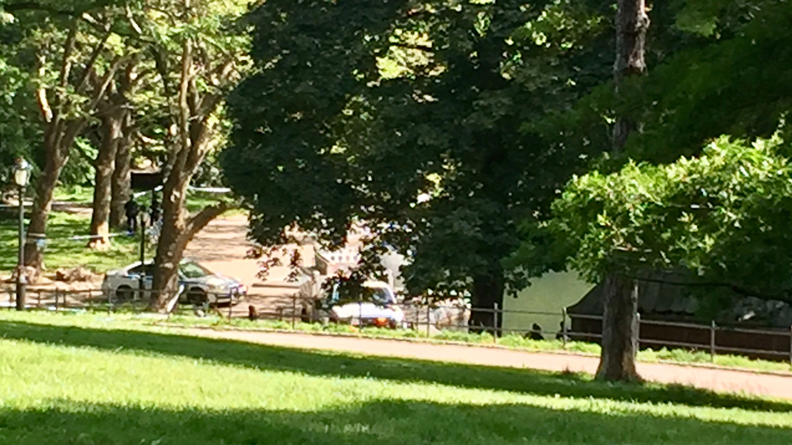 Police investigating after man found dead in Central Park pond - ABC7 ...